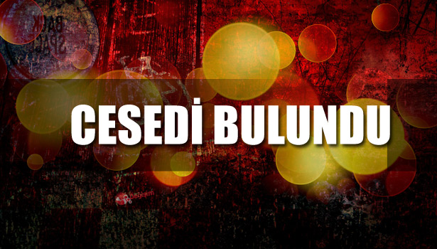 ODUN TOPLAMAYA GİTTİ, CESEDİ BULUNDU