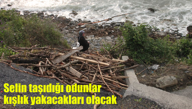 SELİN TAŞIDIĞI ODUNLAR KIŞLIK YAKACAKLARI OLACAK