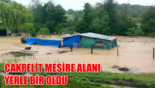 ÇAKPELİT MESİRE ALANI YERLE BİR OLDU