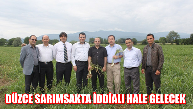 DÜZCE SARIMSAKTA İDDİALI HALE GELECEK