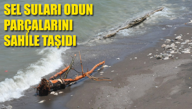 AKÇAKOCA'DA SEL SULARI ODUN PARÇALARINI SAHİLE TAŞIDI