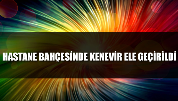 HASTANE BAHÇESİNDE KENEVİR ELE GEÇİRİLDİ