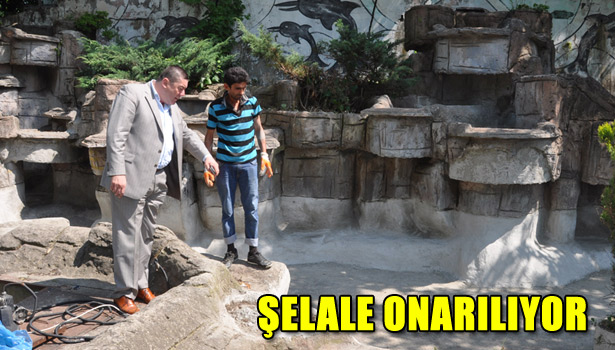 ONARIM ÇALIŞMALARI