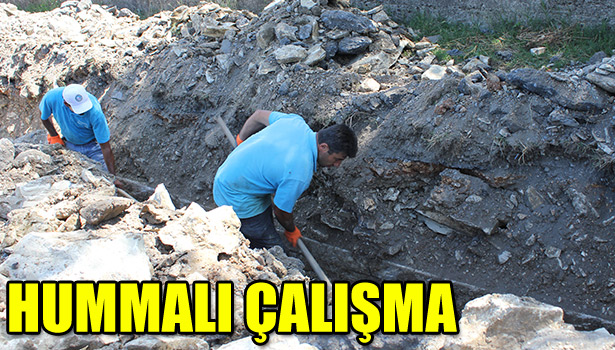 HUMMALI ÇALIŞMA