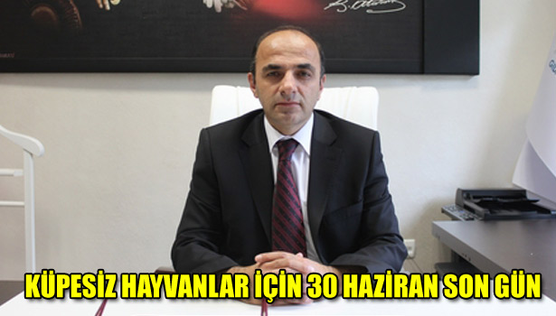 KÜPESİZ HAYVANLAR İÇİN 30 HAZİRAN SON GÜN