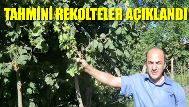 TAHMİNİ REKOLTELER AÇIKLANDI