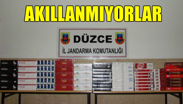 AKILLANMIYORLAR