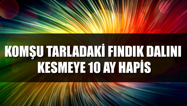 KOMŞU TARLADAKİ FINDIK DALINI KESMEYE 10 AY HAPİS