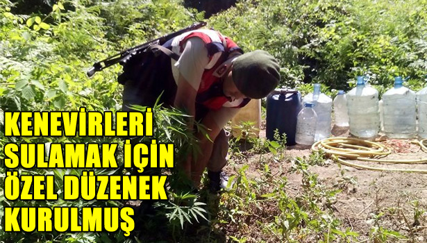 SAHİLDE KENEVİR OPERASYONU