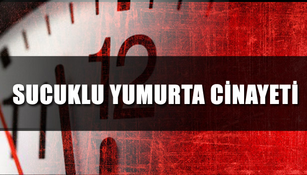 SUCUKLU YUMURTA CİNAYETİ