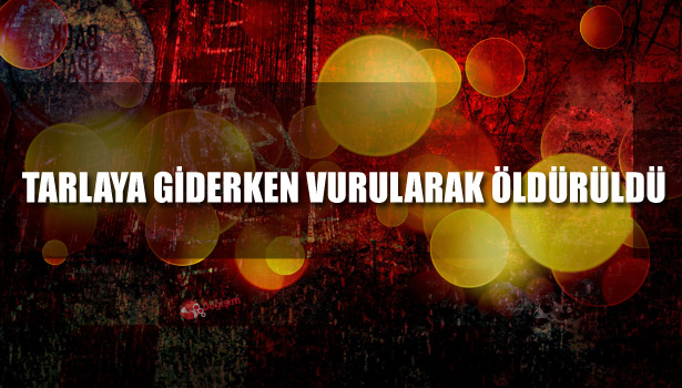 TARLAYA GİDERKEN VURULARAK ÖLDÜRÜLDÜ