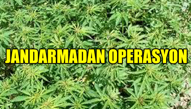 JANDARMADAN OPERASYON