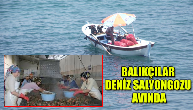 AKÇAKOCA'LI BALIKÇILAR DENİZ SALYONGOZU AVINDA