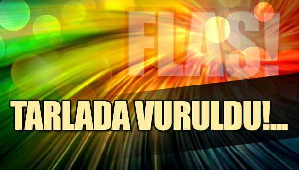 YAŞLI KADIN TARLADA ÇALIŞIRKEN VURULDU