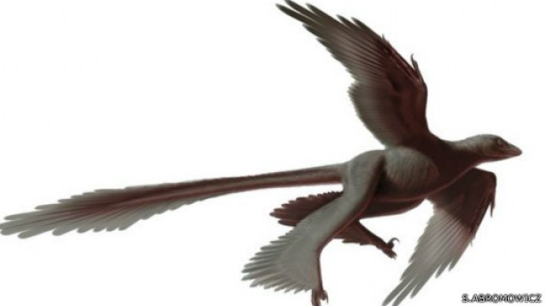 ÇİN'DE DÖRT KANATLI DİNOZOR BULUNDU