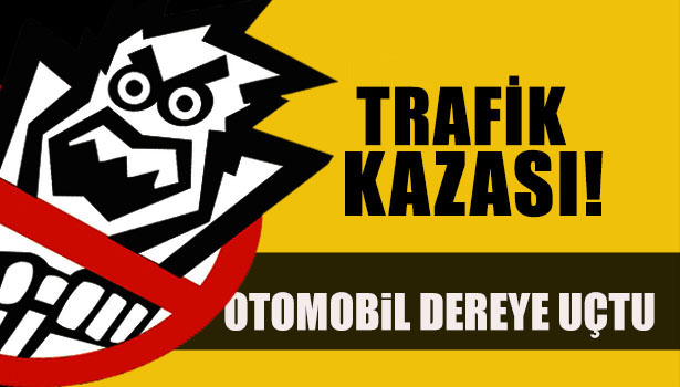 ZONGULDAK'TA OTOMOBİL DEREYE UÇTU: 2 YARALI