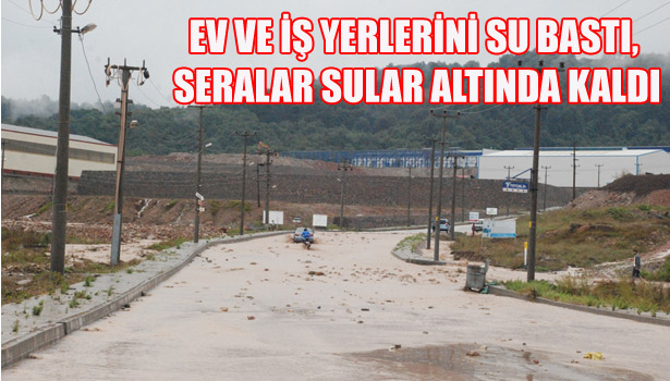 EV VE İŞ YERLERİNİ SU BASTI, SERALAR SULAR ALTINDA KALDI