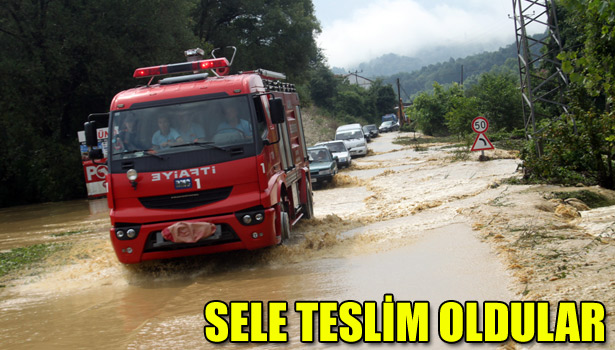 ALAPLI SELE TESLİM