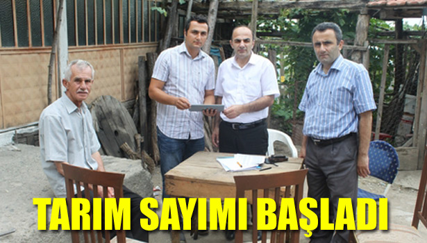 DÜZCE'DE TARIM SAYIMI BAŞLADI