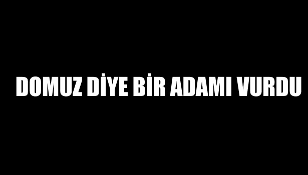 DOMUZ DİYE BİR ADAMI VURDU