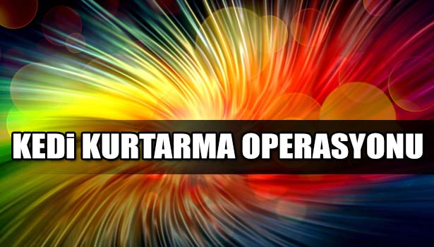 YAVRU KEDİ, İTFAİYENİN 2 SAATLİK ÇALIŞMASIYLA KURTARILDI