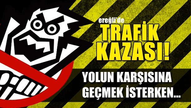 YOLUN KARŞISINA GEÇMEK İSTERKEN...