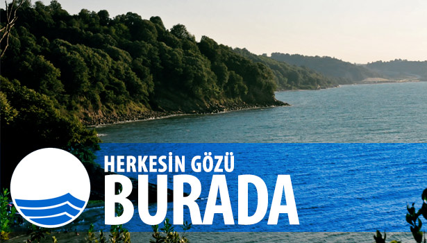 KARADENİZ'İN MAVİ BAYRAKLI PLAJINA YOĞUN İLGİ