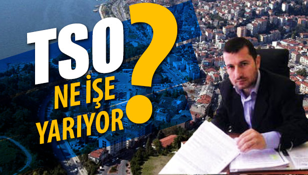 TSO NE İŞE YARIYOR?