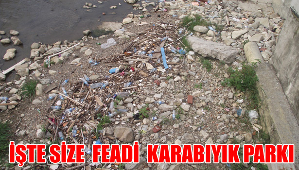 İŞTE SİZE FEADİ KARABIYIK PARKI