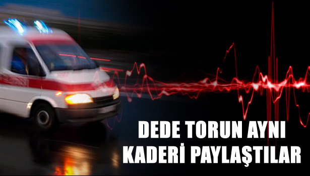 DEDE TORUN AYNI KADERİ PAYLAŞTILAR
