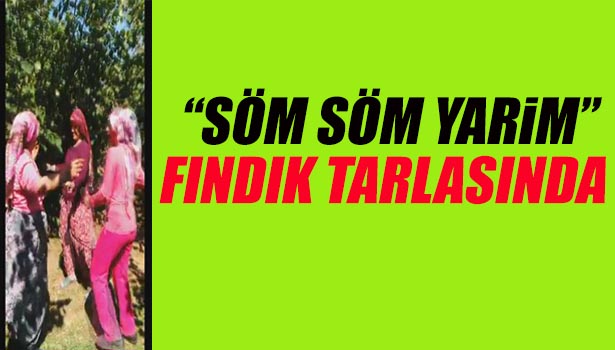 FINDIKÇI KADINLAR 'SÖM SÖM YARİM' ŞARKISI İLE MORAL VE GÜÇ DEPOLUYOR