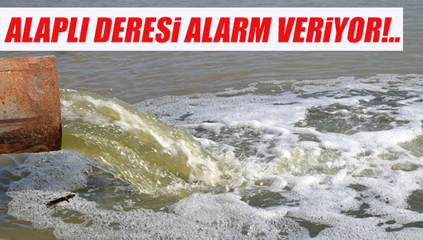ALAPLI DERESİNDE KİRLİLİK ALARMI
