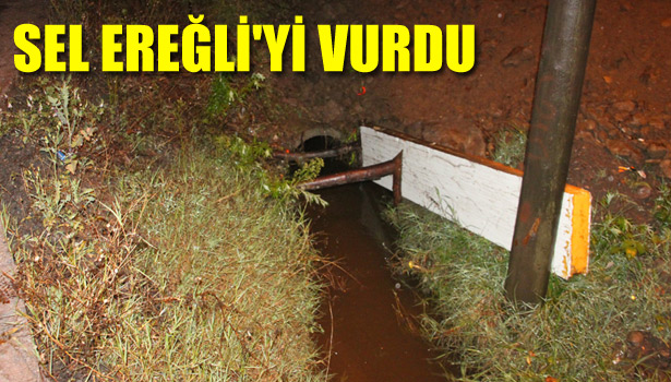 SEL EREĞLİ'Yİ VURDU