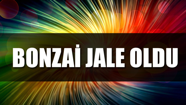 BONZAİ JALE OLDU