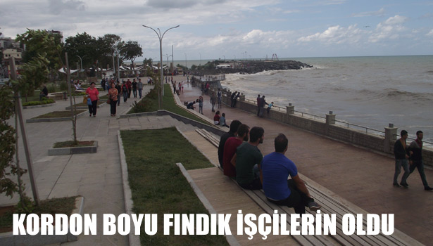 KORDON BOYU FINDIK İŞÇİLERİN OLDU