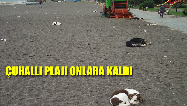 ÇUHALLI PLAJI ONLARA KALDI