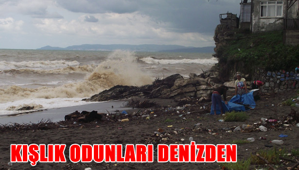 KIŞLIK ODUNLARI DENİZDEN