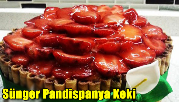SÜNGER PANDİSPANYA KEKİ NASIL YAPILIR?