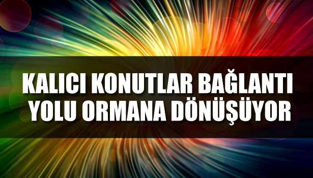 KALICI KONUTLAR BAĞLANTI YOLU ORMANA DÖNÜŞÜYOR