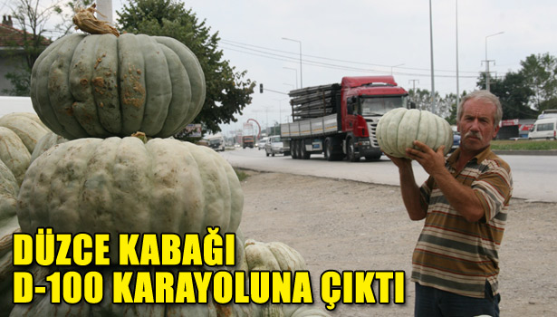 DÜZCE KABAĞI D-100 KARAYOLUNA ÇIKTI