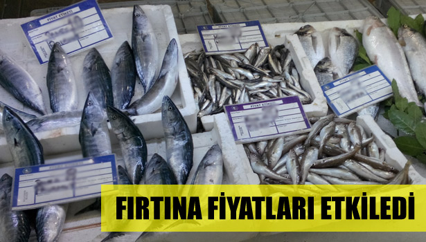 FIRTINA FİYATLARI ARTTIRDI