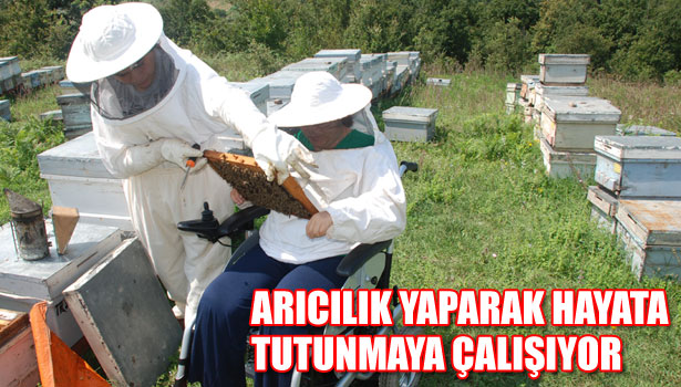 ARICILIK YAPARAK HAYATA TUTUNMAYA ÇALIŞIYOR