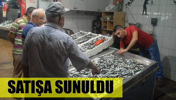 TEZGAHLAR HAMSİ İLE DOLDU