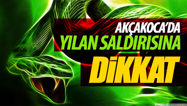 AKÇAKOCA'DA YILAN SALDIRISINA DİKKAT