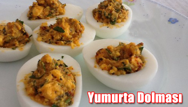 YUMURTA DOLMASI NASIL YAPILIR?
