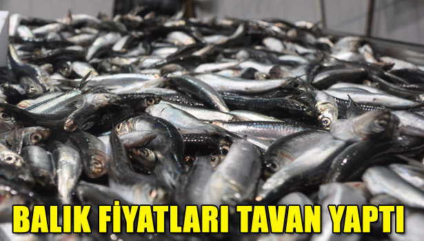 BALIK FİYATLARI TAVAN YAPTI