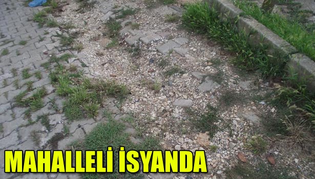 MAHALLELİ İSYANDA