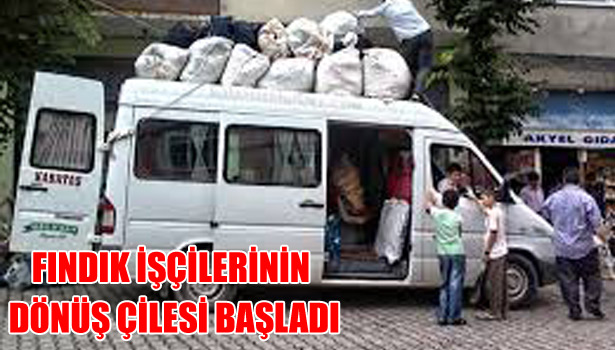 FINDIK İŞÇİLERİN DÖNÜŞ ÇİLESİ BAŞLADI