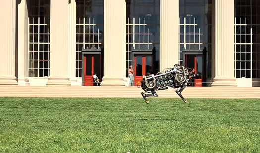 MIT'NİN ROBOT ÇİTASI TASMASINDAN KURTULDU