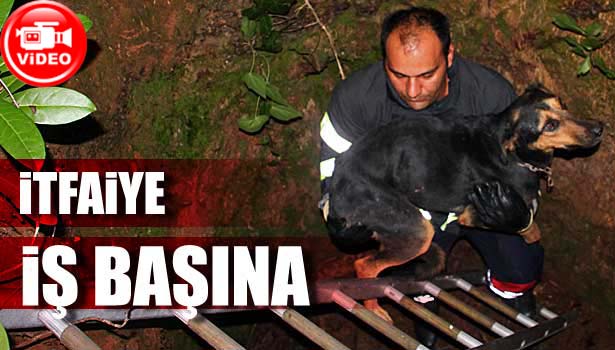 İTFAİYE EKİPLERİ, ORMANLIK ALANDA KUYUYA DÜŞEN KÖPEK İÇİN 5 KİLOMETRE YÜRÜDÜ